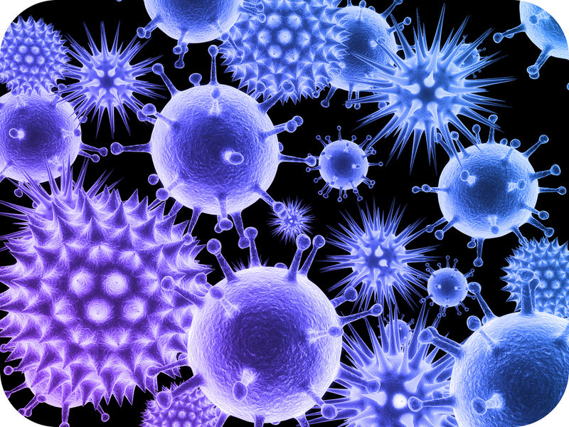 Apărarea împotriva virușilor | Sistemul imunitar, Virusii sunt paraziți obligatorii